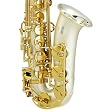Cecilio Silver Plated Sandblast Alto Saxophone with Carrying Case and Accessories