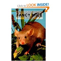 Fancy Mice