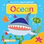Ocean (Animal Fun Touch and Feel)