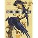 Le livre des oiseaux Audubon