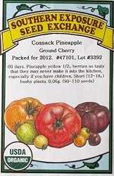 Organic "Cossack Pineapple" Ground Cherry Seeds