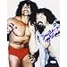 Steiner Sports Captain Lou Albano Autographed 8-by-10-Inch Photograph with Jimmy Snuka