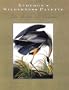 Audubon's Wilderness Palette: The Birds of Canada