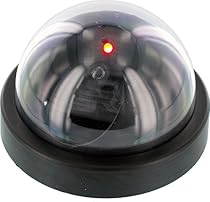 SE Dummy Security Camera, Dome Shape, 1 Red Flashing Light