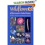 Wildflowers Of The Eastern United States