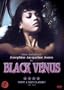 Black Venus