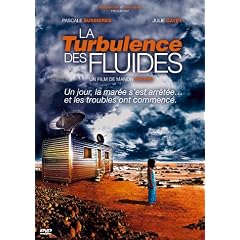 La Turbulence des fluides
