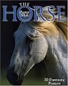 The Horse Poster Book