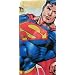 Superman Returns Table Cover