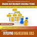 Developing Organizational Skills