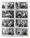 Historic Print (L): Misteries of Mormonism