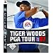 Tiger Woods PGA Tour 07
