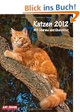 Katzen 2012 Posterkalender