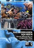 Das Meerwasseraquarium: Von der Planung bis zur erfolgreichen Pflege