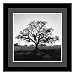 Oaktree, Sunrise, Northern California, 1966 by Ansel Adams - Satin Black Frame