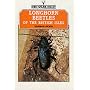 Longhorn Beetles of the British Isles (Shire natural history)