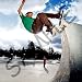 Skate