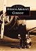 Stinson  Aircraft  Company   (MI)  (Images  of  Aviation)
