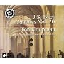 J. S. Bach - Cantatas, Vol 20