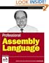Professional Assembly Language (Programmer to Programmer)