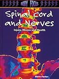 Spinal cord and nerves : injury, illness and health