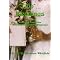 Be an Event Planner Specializing in Weddings