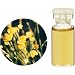 �����̖؁EHerbal Life ���A�o�����[EO.�E�C���[�e��(�w���N���T��) 1ml