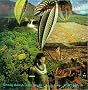 Blues from the Rainforest: A Musical Suite