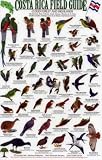 Birds of the Cloud Forest and Highlands (Costa Rica Field Guides)