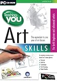 Teaching-you Art Skills Software