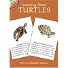 Learning About Turtles (Dover Little Activity Books)