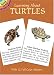 Learning About Turtles (Learning about Books (Dover))