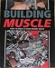Building Muscle: How to Make a Good Engine Great