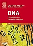 Image de DNA: Das Molekül und seine Funktionsweise