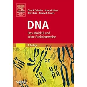 DNA: Das Molekül und seine Funktionsweise