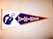 Minnesota Vikings NFL Classic Football Pennant