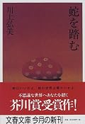 良くも悪くも、本好きの女子が想像を書き連ねていった文章といった印象。小説には必ずしも構成は必要ないとは思うけど、もっと漠としながらも構成を感じるものの方が好みです。どういった層がこの作品を好むのだろうか。☆2