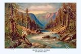 Art Poster, Fishing Fraser Canyon, Colorado - 27.5 x 18.75