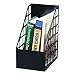 Office Products : Jumbo Plastic Magazine File, Black