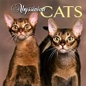 Abyssinian Cats 2004 Calendar