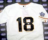 Matt Cain Autographed/Hand Signed MLB Baseball Jersey (San Francisco Giants) JSA size 52