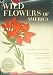 Search : Wild Flowers of America: 400 Flowers in Full Color