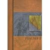 Psalms 2 (People's Bible Commentary)