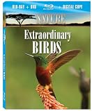 Nature: Extraordinary Birds [Blu-ray]