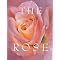 Looking Through Rose-colored Glasses
