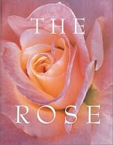 The Rose