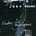 Josh Rouse-Under Cold Blue Stars