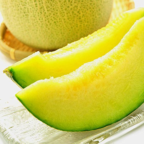 果物 ギフト 静岡県産 高級 メロン 日本が誇る 静岡 マスクメロン 大玉 1玉 1.3kg 以上