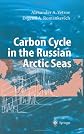 Carbon Cycle in the Russian Arctic Seas