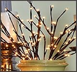 Lighted Willow Branch Floral Lights 60-lights 20 Tall